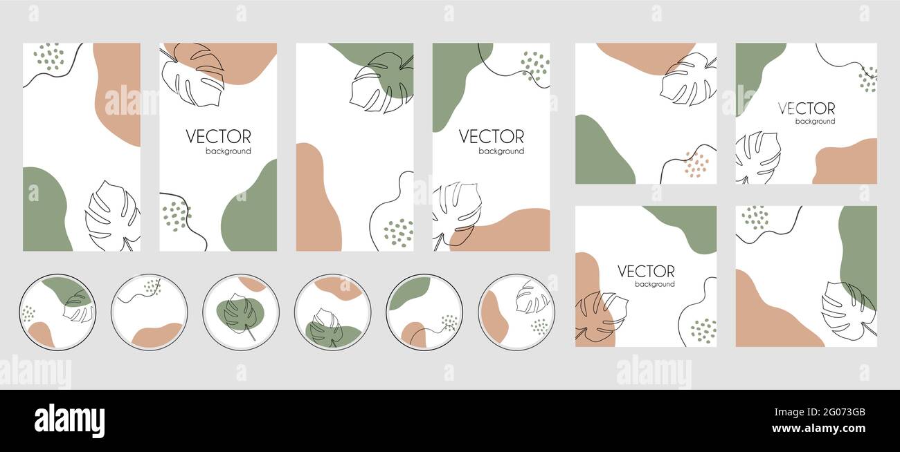 Storie di social media, post, modelli di evidenziazioni per instagram. Sfondi astratti con foglie tropicali, forme organiche e spazio di copia per il testo Illustrazione Vettoriale