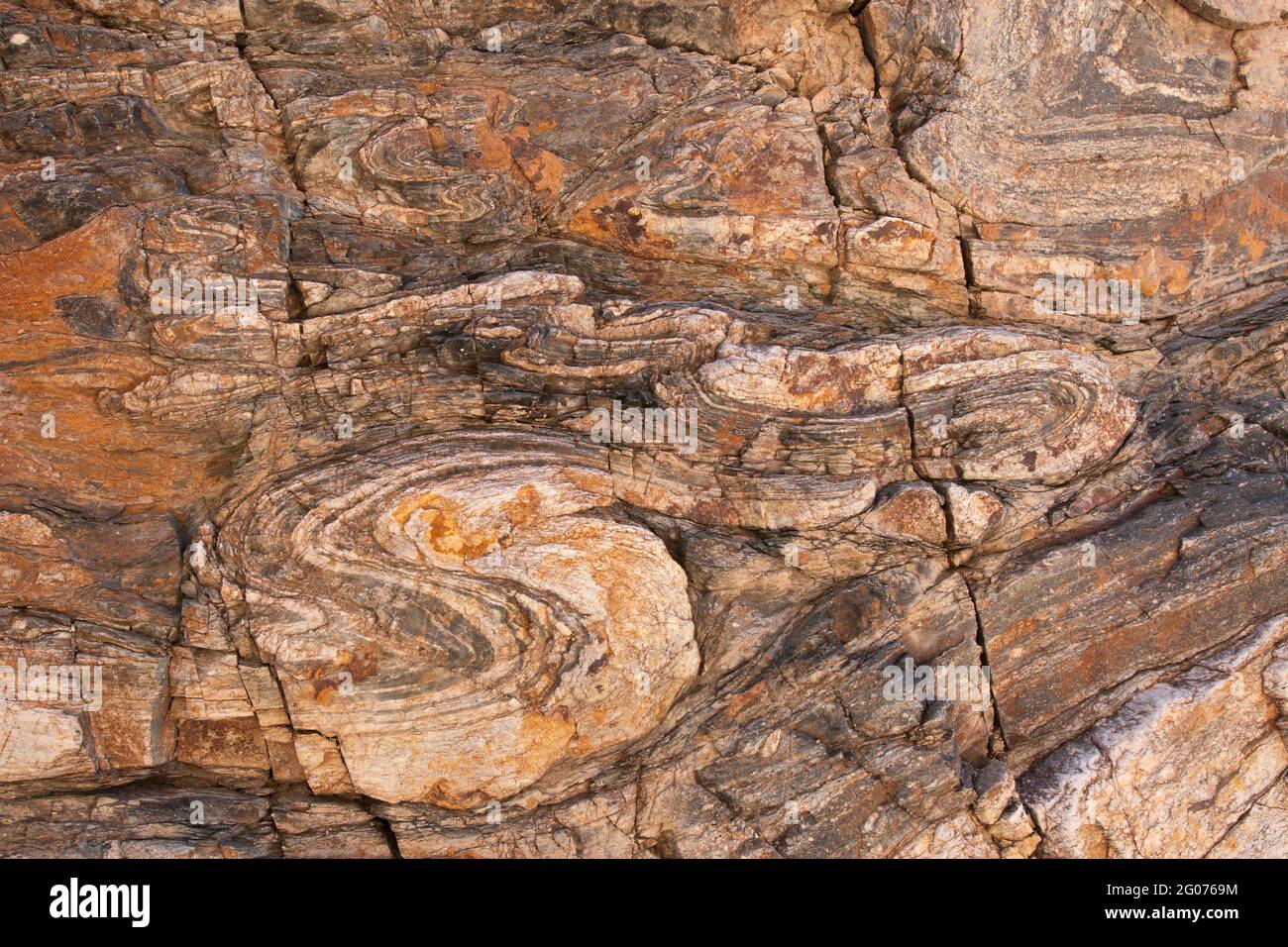 Ductley Deformed Proterozoic seminterrato gneiss, sud-est della California, Stati Uniti. La vista si trova a circa 2 metri di distanza. Foto Stock