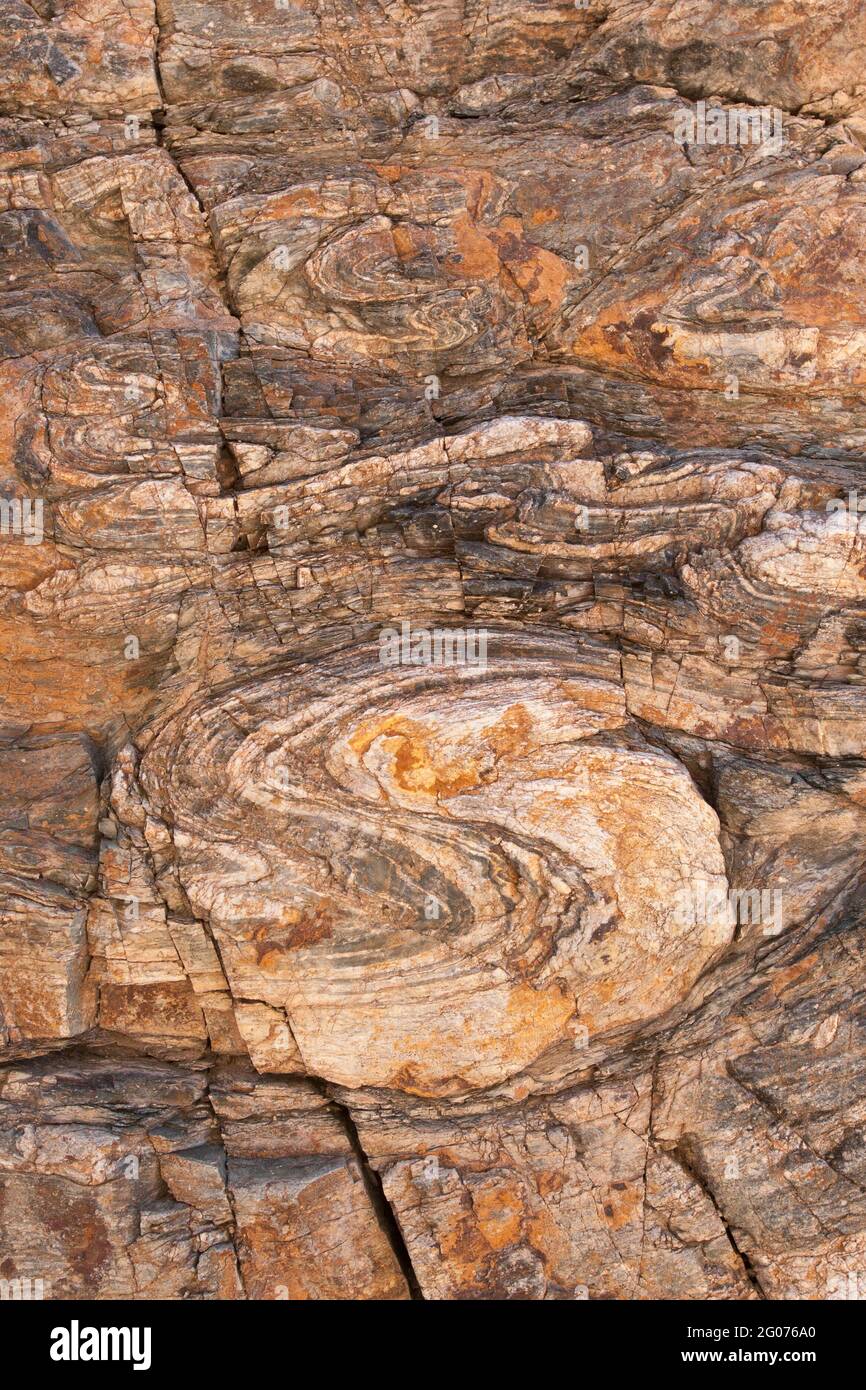 Ductley Deformed Proterozoic seminterrato gneiss, sud-est della California, Stati Uniti. La vista si trova a circa 1 metro di distanza. Foto Stock