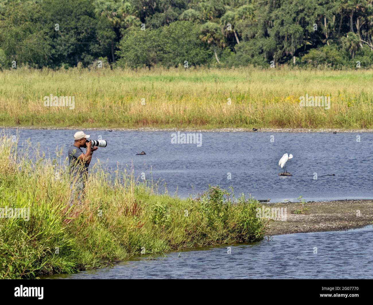 Fotografo che fotografa uccelli nel fiume Myakka nel Myakka River state Park a Sarasota, Florida USA Foto Stock