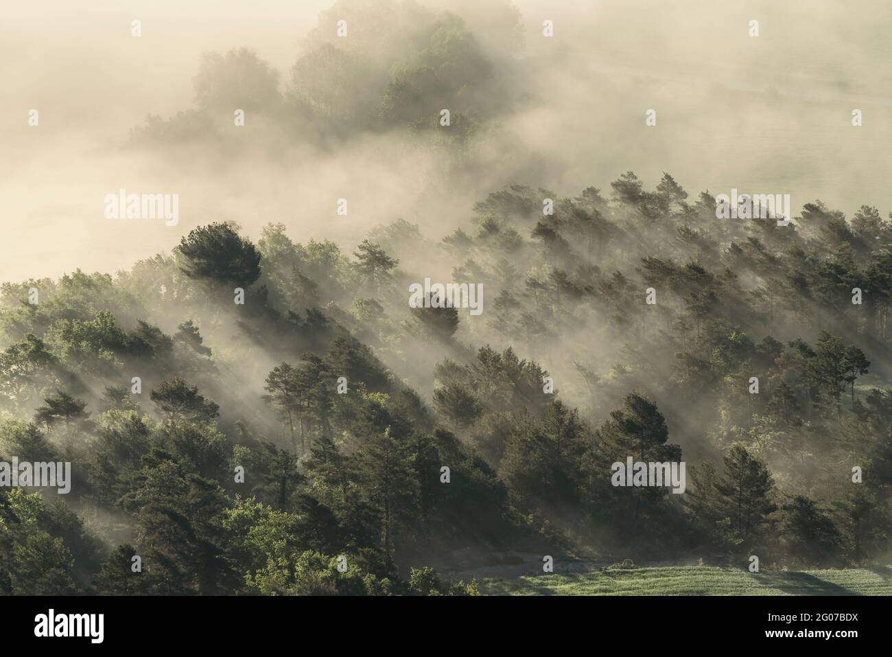 L'alba delle nebbie primaverili a Plana de Vic, vista da Sant Bartomeu del Grau (provincia di Barcellona, Osona, Catalogna, Spagna) Foto Stock