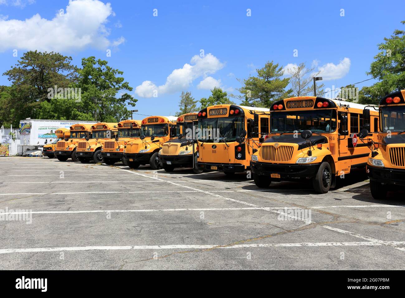 Autobus scolastici Long Island New York Foto Stock