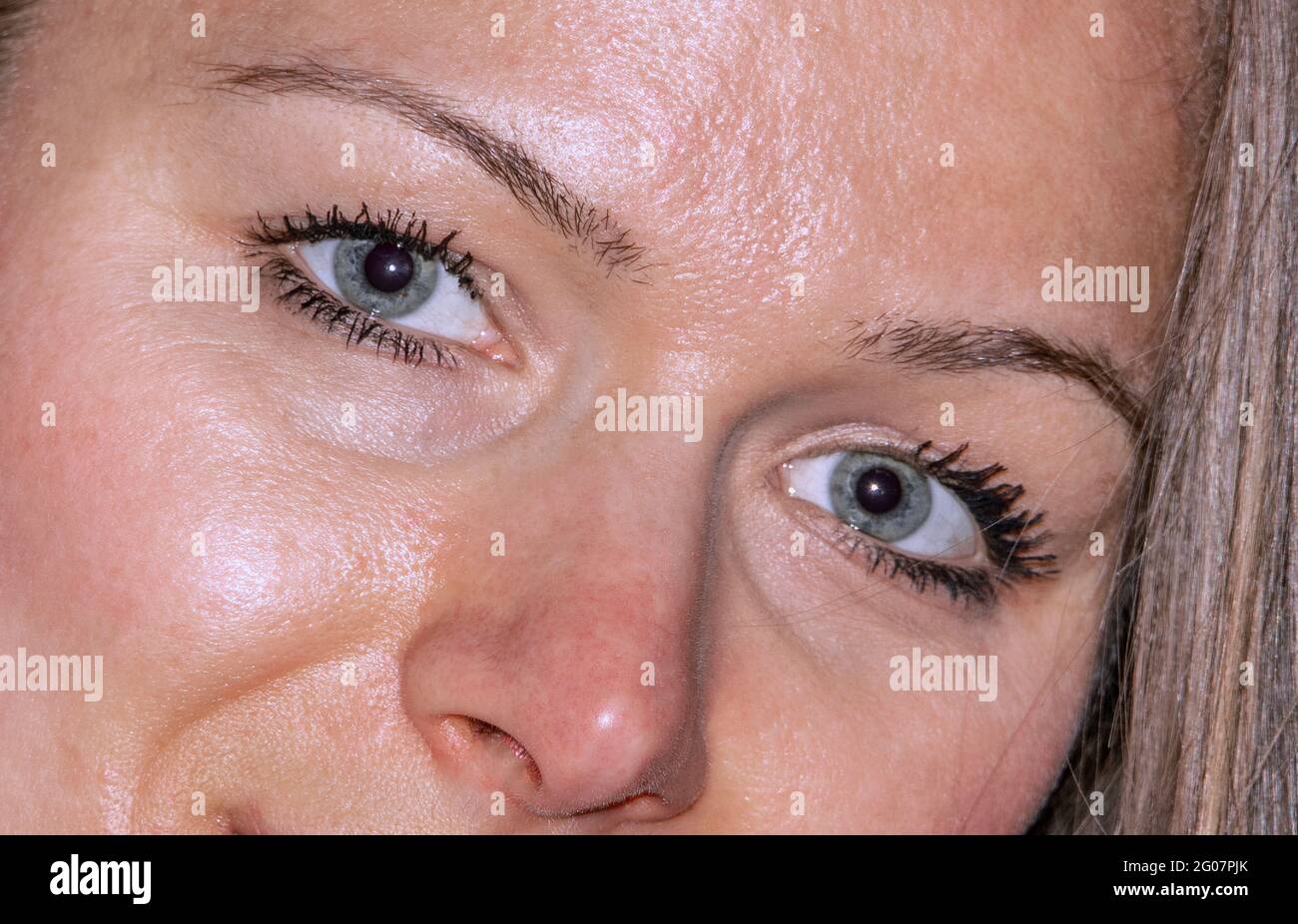 Primo piano del volto di una giovane donna con gli occhi grigio-blu che guardano la telecamera Foto Stock
