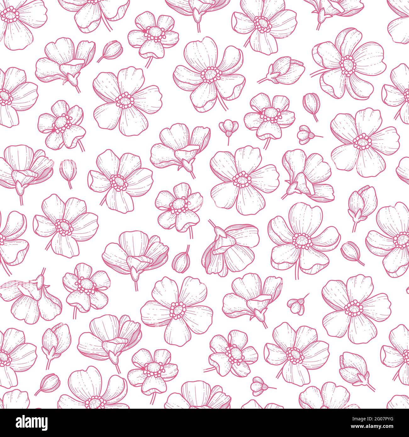 Modello vettoriale senza giunture con ramoscelli disegnati a mano e fiori sakura su sfondo bianco. Fiori di ciliegio. Motivo di nozze, motivo floreale per la stampa Illustrazione Vettoriale