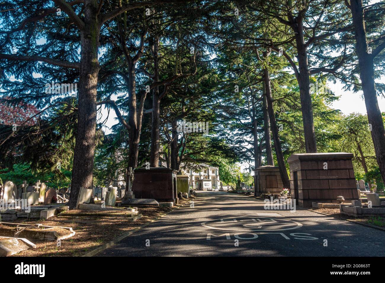 La strada che conduce al cimitero di Hanwell è fiancheggiata da alberi alti ed è tranquilla e pacifica. Foto Stock