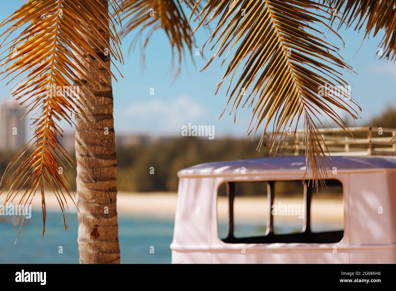 Primo piano di autobus rosa retrò vicino a palme sulla spiaggia Foto Stock