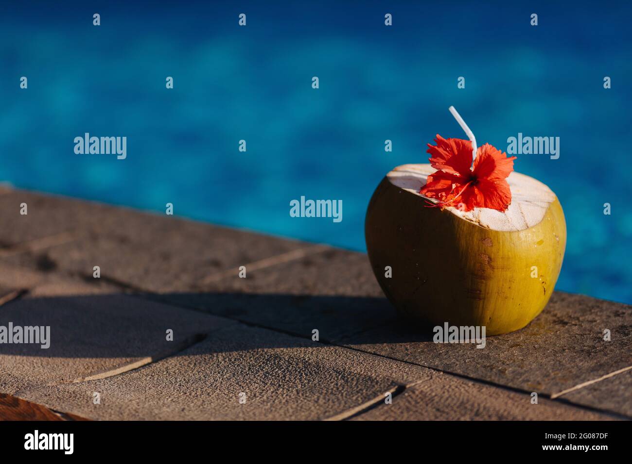 Cocco giallo grande con fiori esotici rossi e paglia Foto Stock