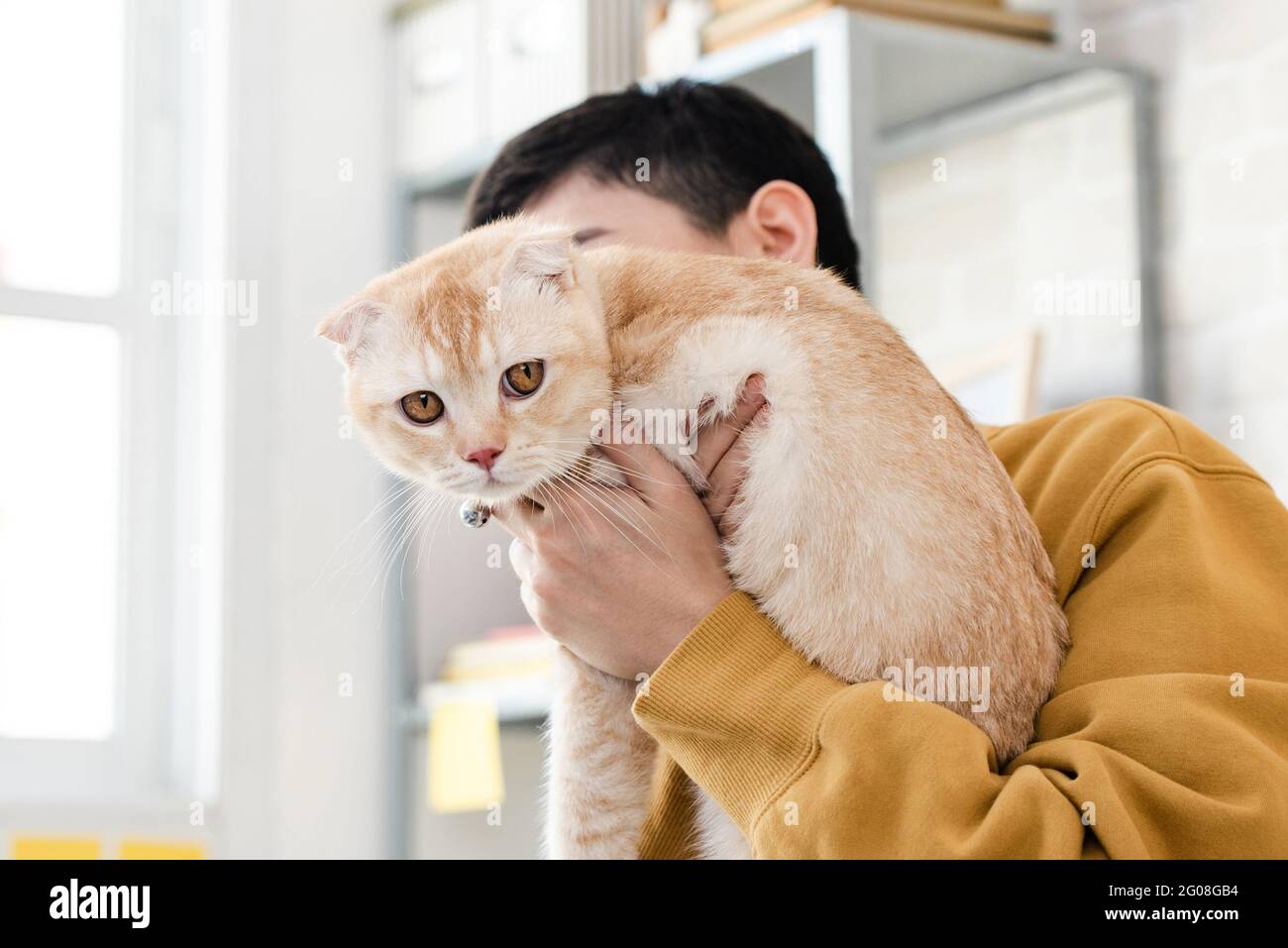 Giovane donna proprietaria che tiene un bel gatto tra le braccia Foto Stock