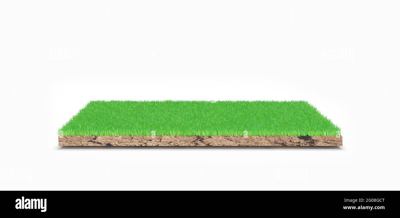 Rendering 3D. Pezzo di terra verde erba isolato su sfondo. Foto Stock