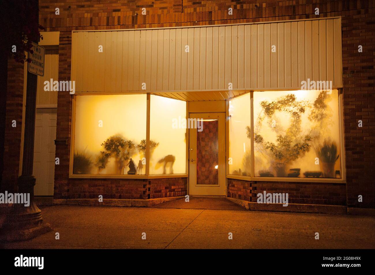 Figure e piante in una strana vetrina di notte, Ironwood, Michigan, USA Foto Stock