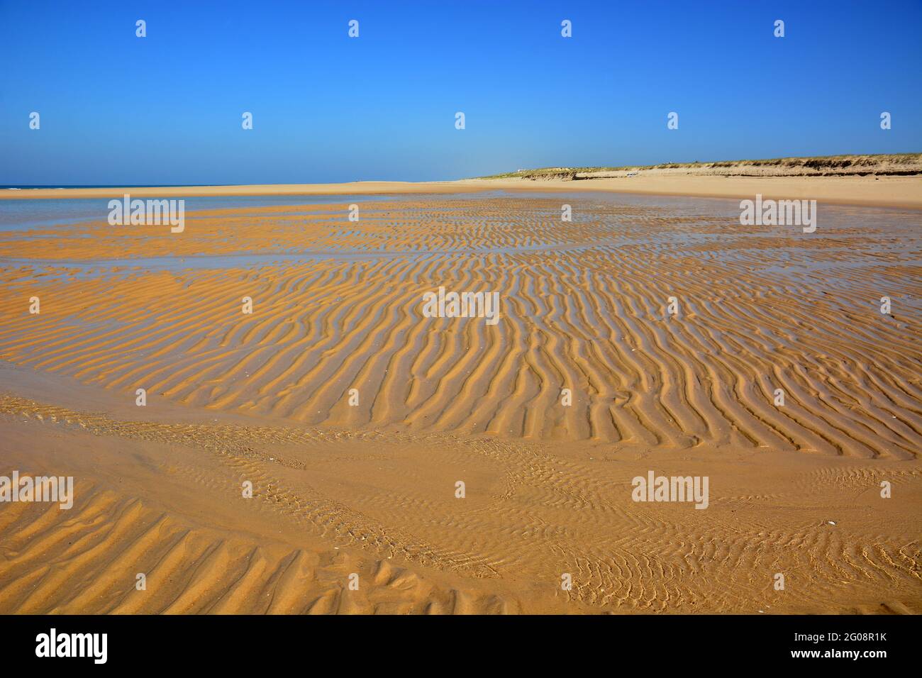 Francia, Aquitania, Cap Ferret, situato tra il bacino di Arcachon e l'oceano Atlantico offre sul lato dell'oceano bella spiaggia a bassa marea. Foto Stock