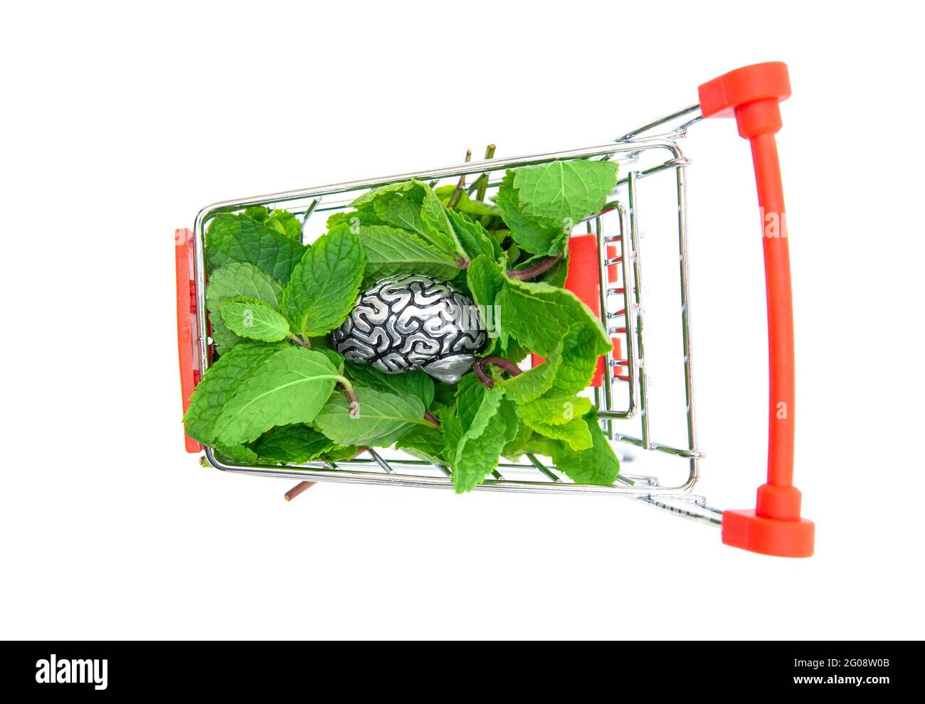 Copia di acciaio di un cervello umano su un mucchio di foglie di menta fresca in un piccolo carrello della spesa. Vista dall'alto, isolata su bianco. Idee creative. Foto Stock