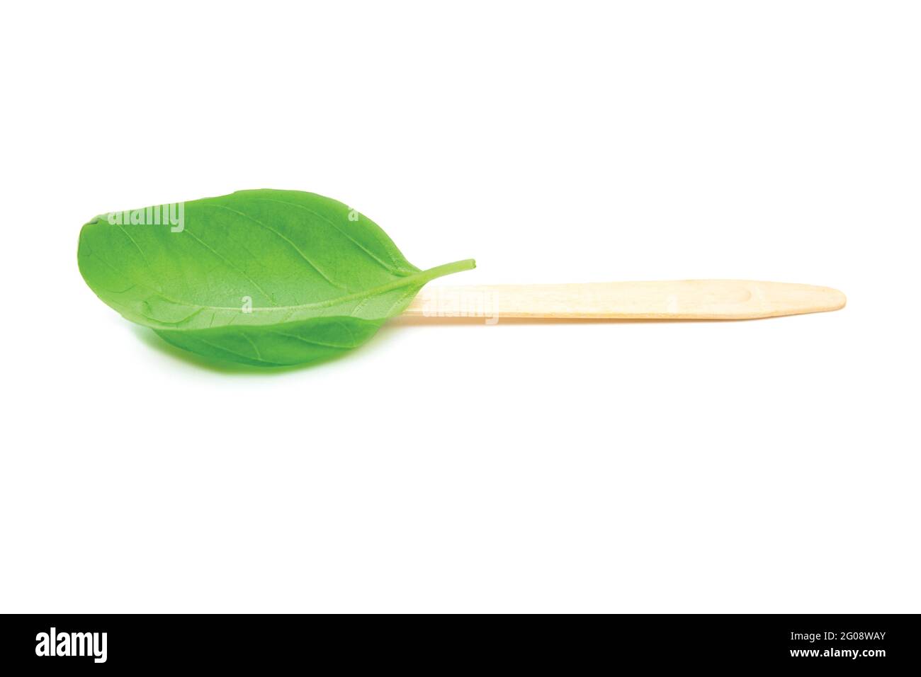 Cucchiaio fatto di un bastone di legno e di una foglia verde isolato su bianco. Concetto di nutrizione organica e stile di vita sano. Foto Stock