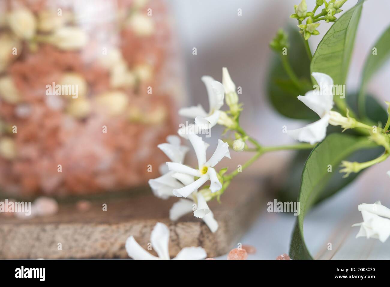 Sali da bagno Foto Stock