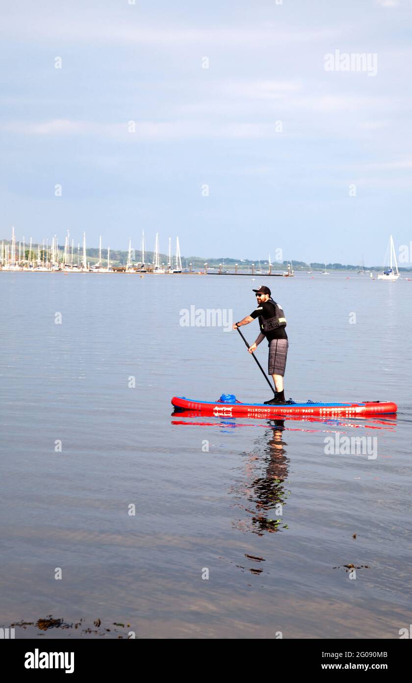 Uomo sul paddleboard a Rhu Bay, Argyll, Scozia Foto Stock