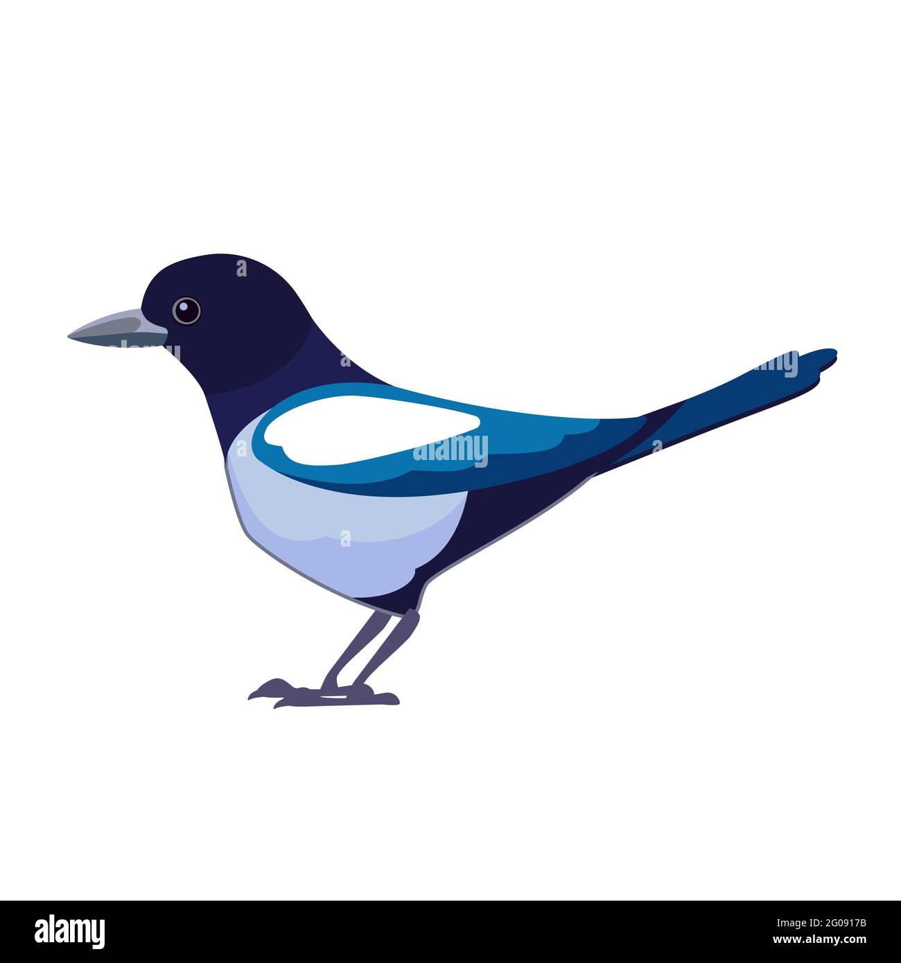 I Magpies sono uccelli della famiglia Corvidae. Uccello Cartoon stile piatto bellissimo carattere di ornitologia, vettore illustrazione isolato su sfondo bianco Illustrazione Vettoriale