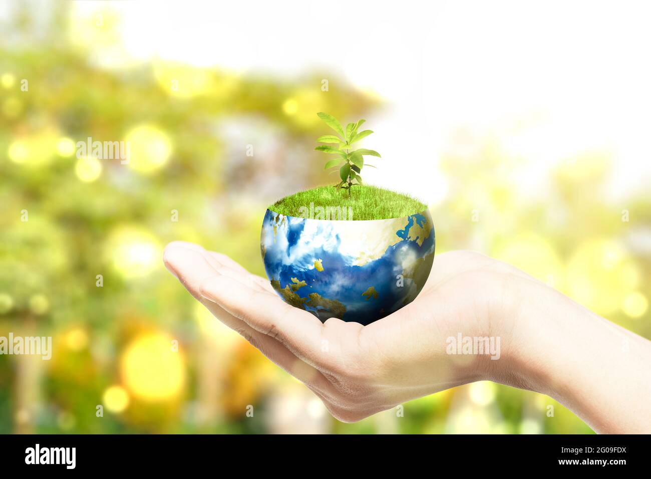 Mani umane che tengono la terra con piante crescenti sopra di essa. Giornata mondiale dell'ambiente Foto Stock