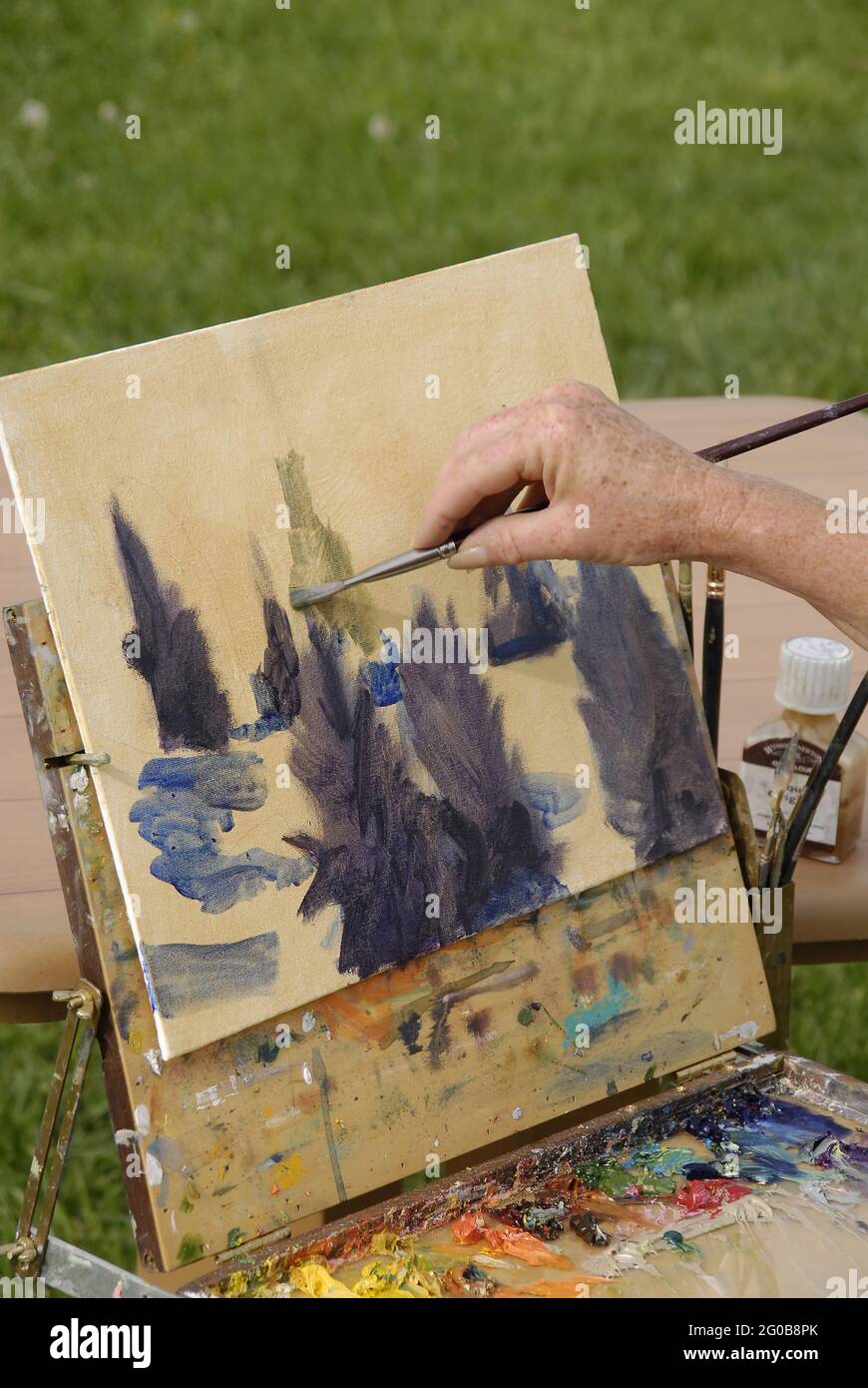 AUGUSTA, STATI UNITI - 01 maggio 2009: Un closeup della mano di un artista e del pennello che lavora su un paesaggio. Foto Stock