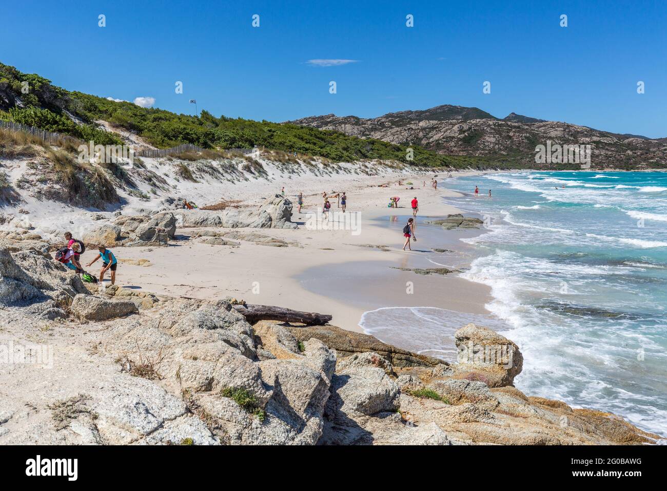 Spiaggia di Saleccia, Corsica, Francia Foto Stock