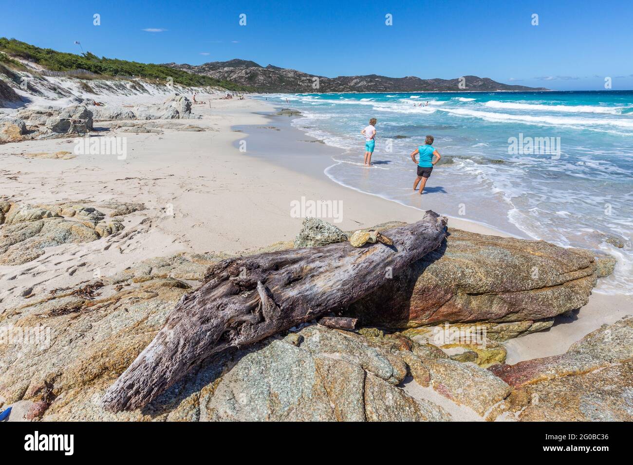 Spiaggia di Saleccia, Corsica, Francia Foto Stock