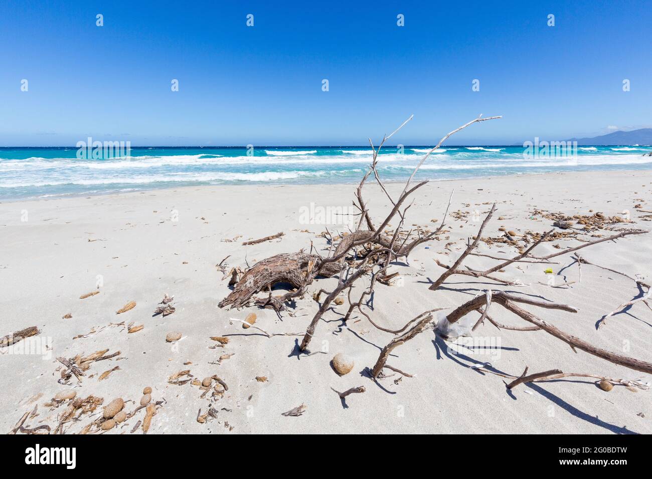 Spiaggia di Saleccia, Corsica, Francia Foto Stock