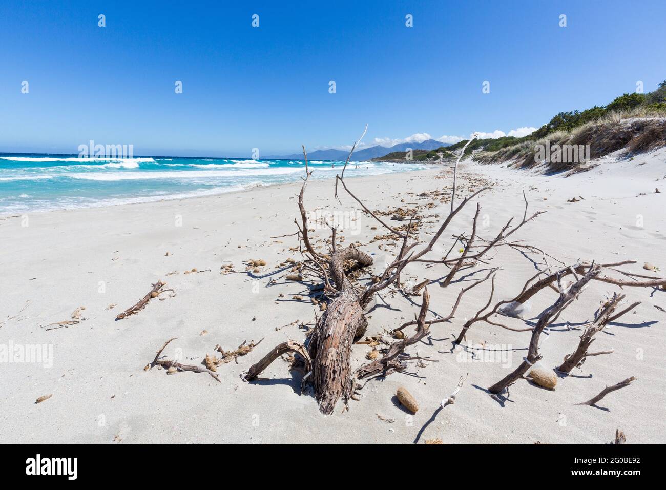Spiaggia di Saleccia, Corsica, Francia Foto Stock