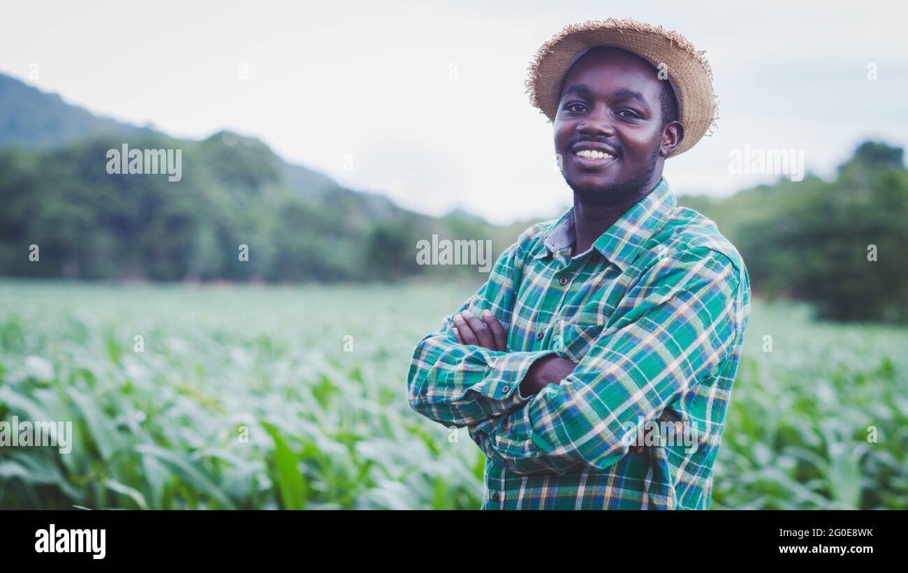 Coltivatore africano con cappello stand nella piantagione di mais Field.Agriculture o concetto di coltivazione Foto Stock