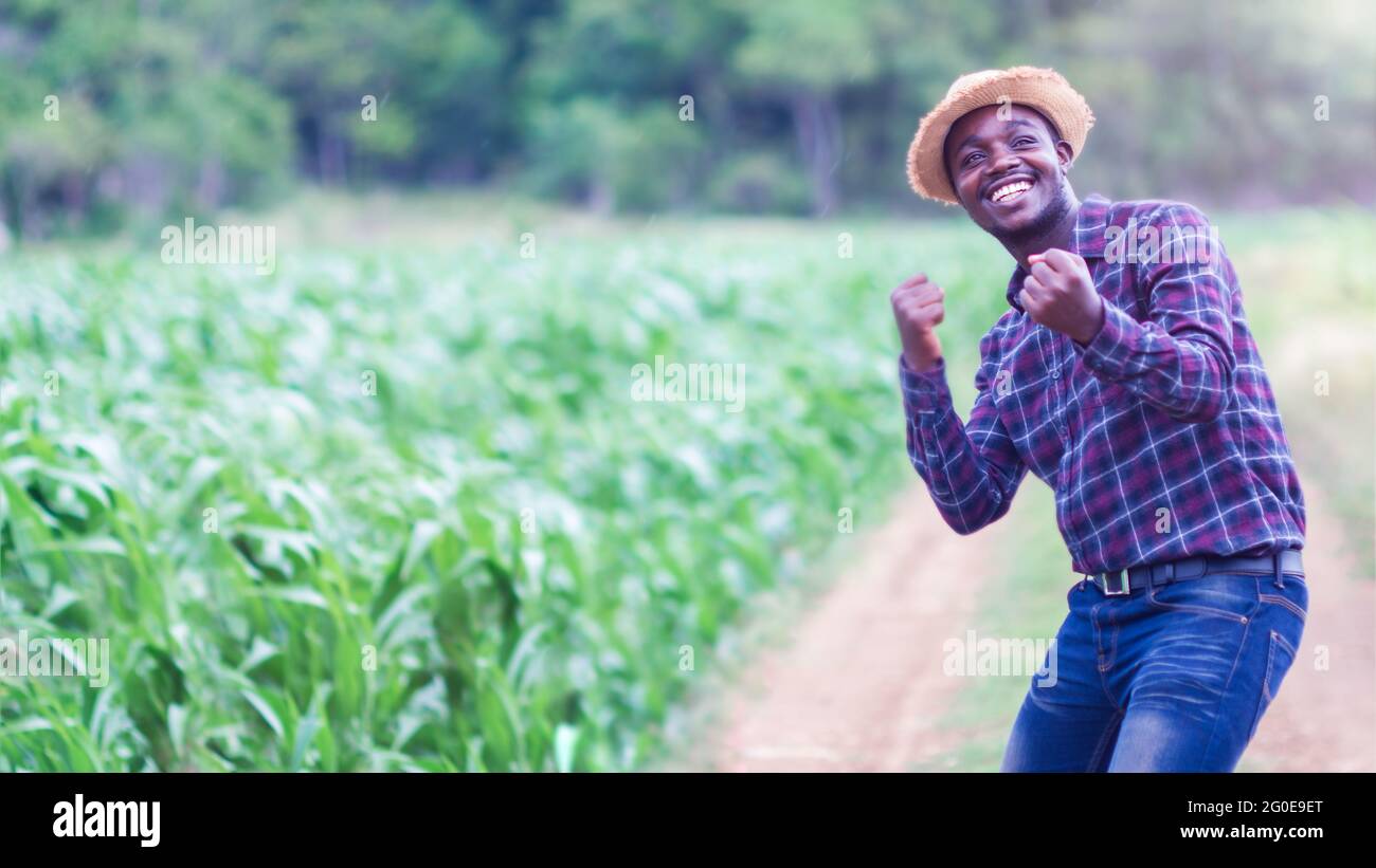 Coltivatore africano di successo con cappello stand nella piantagione di mais Field.Agriculture o concetto di coltivazione Foto Stock