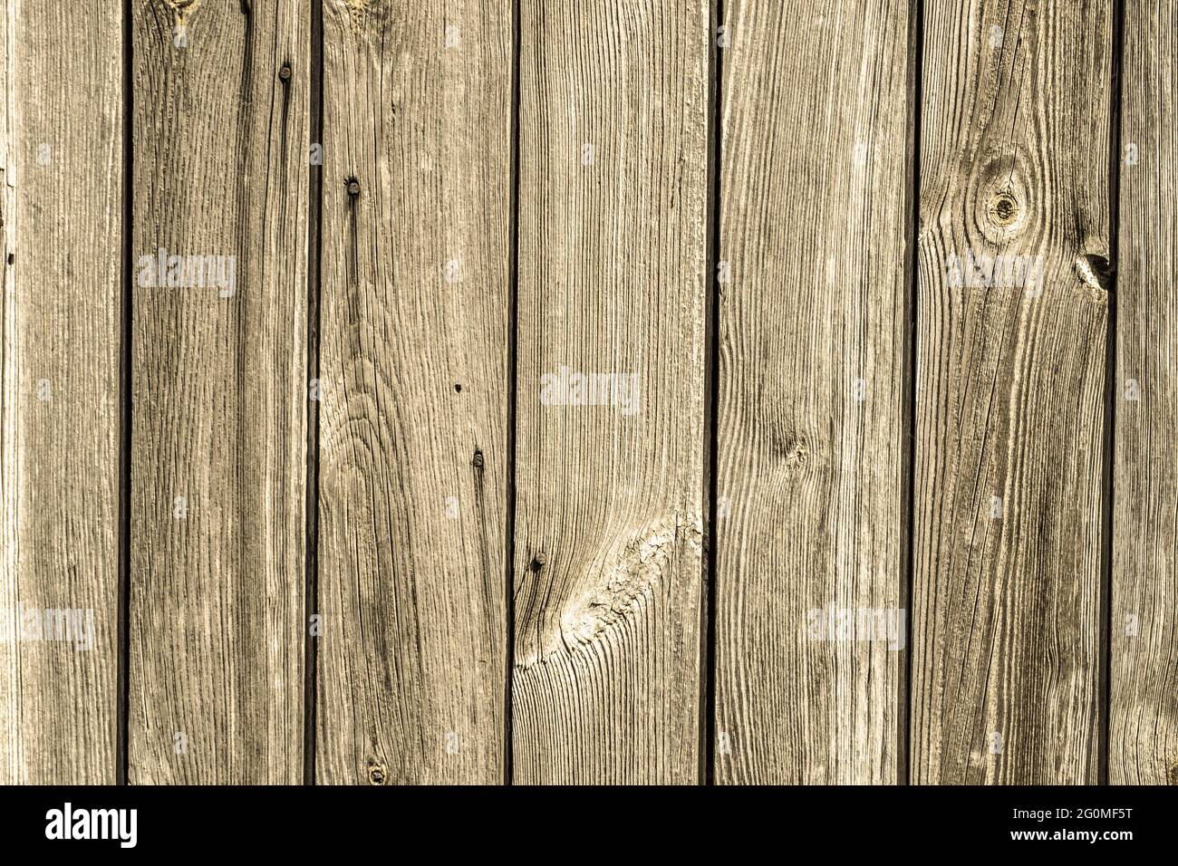 Texture di legno dello sfondo. Foto Stock