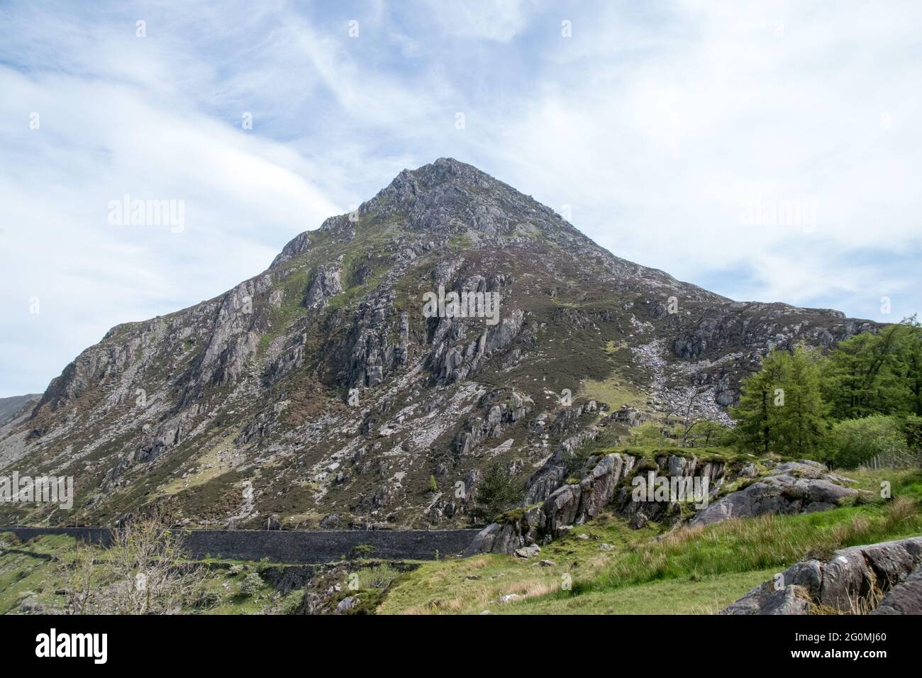 Ole di penna yr Wen Foto Stock