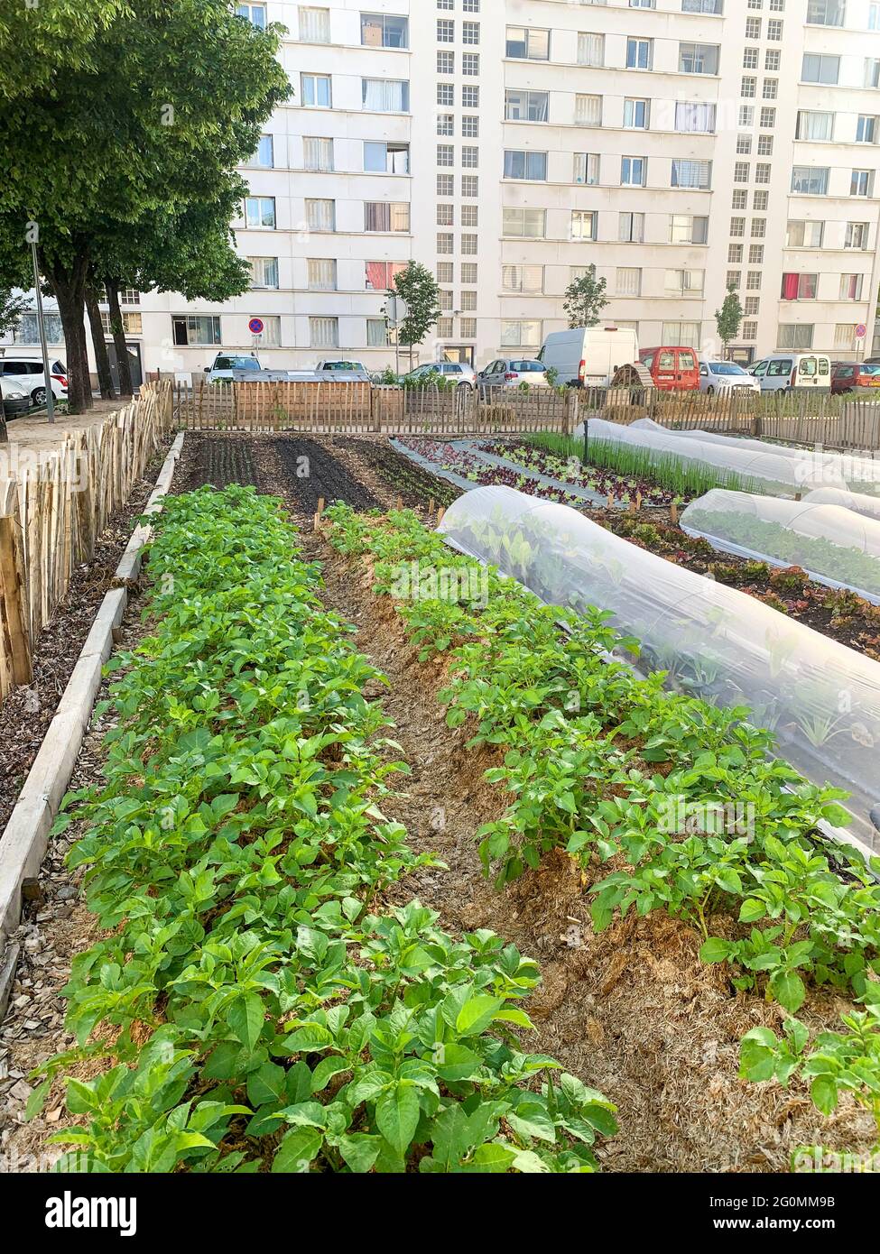 Giardino urbano condiviso, Lione, Francia Foto Stock