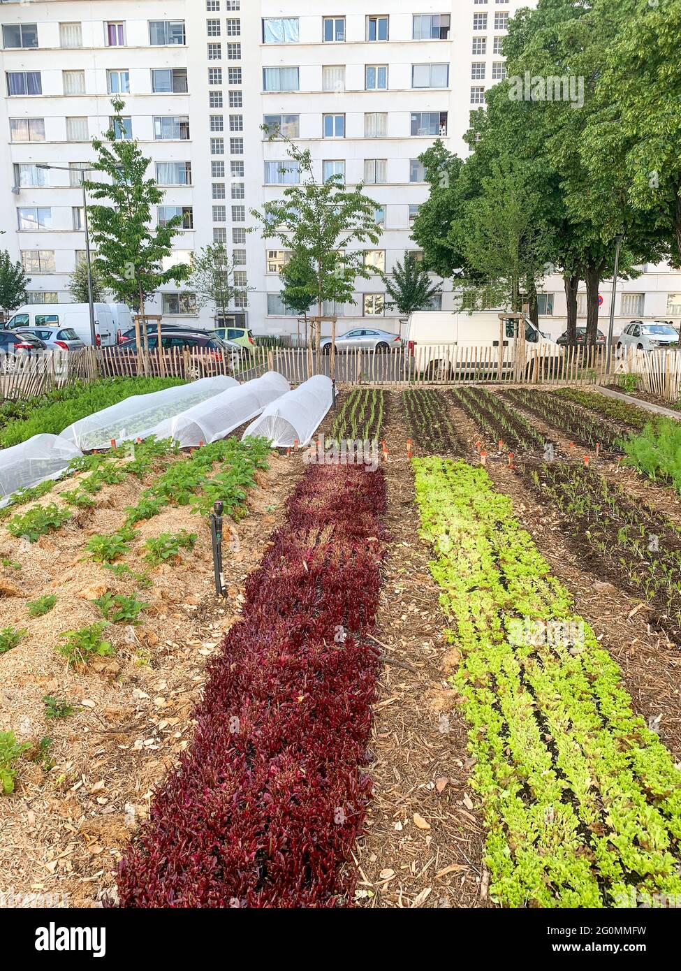 Giardino urbano condiviso, Lione, Francia Foto Stock