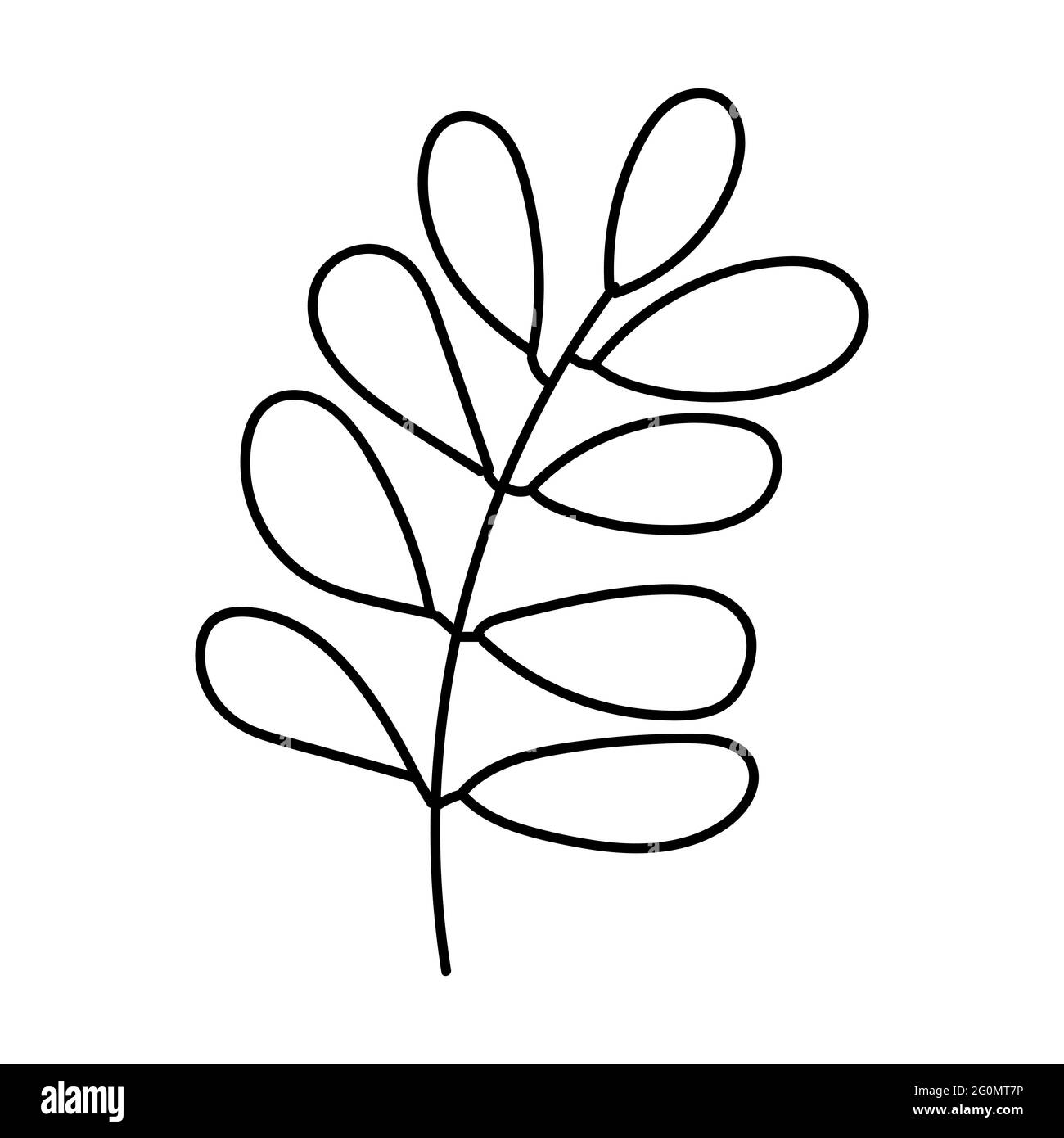 Doodle mano disegnata vettore piatto foglie botaniche linee illustrazioni isolato su sfondo bianco. Foglie carine per biglietti di auguri e inviti di nozze Illustrazione Vettoriale