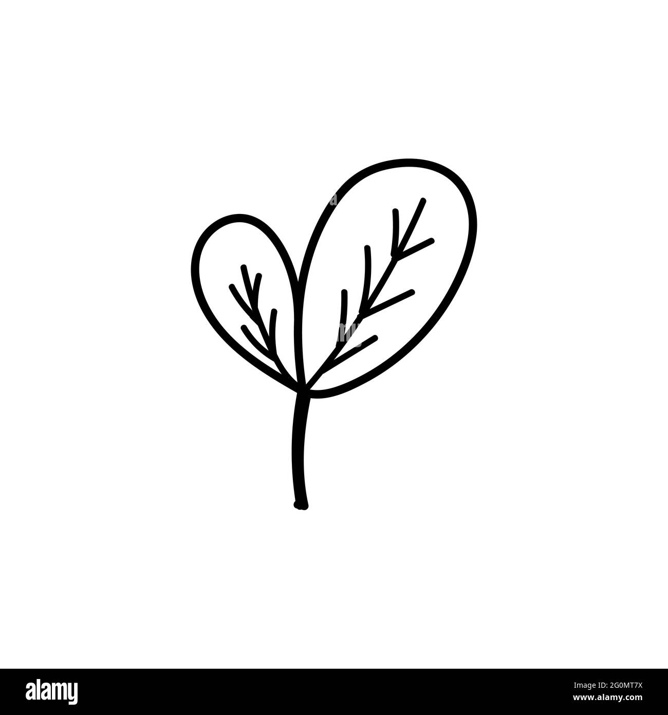 Doodle mano disegnata vettore piatto foglie botaniche linee illustrazioni isolato su sfondo bianco. Foglie carine per biglietti di auguri e inviti di nozze Illustrazione Vettoriale