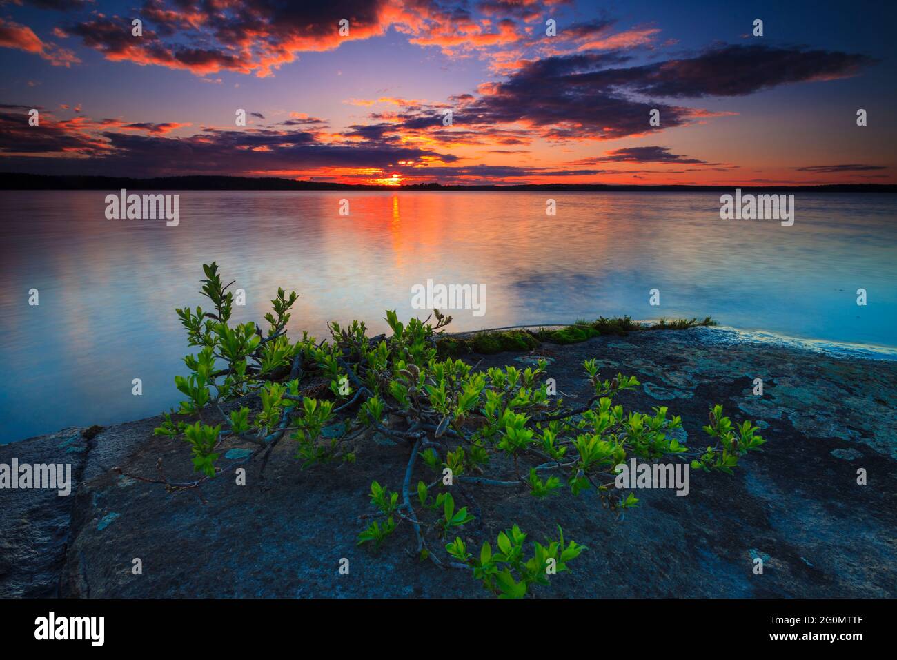 Bellissimo tramonto primaverile sull'isola Brattholmen nel lago Vansjø a Østfold, Norvegia, Scandinavia. Foto Stock