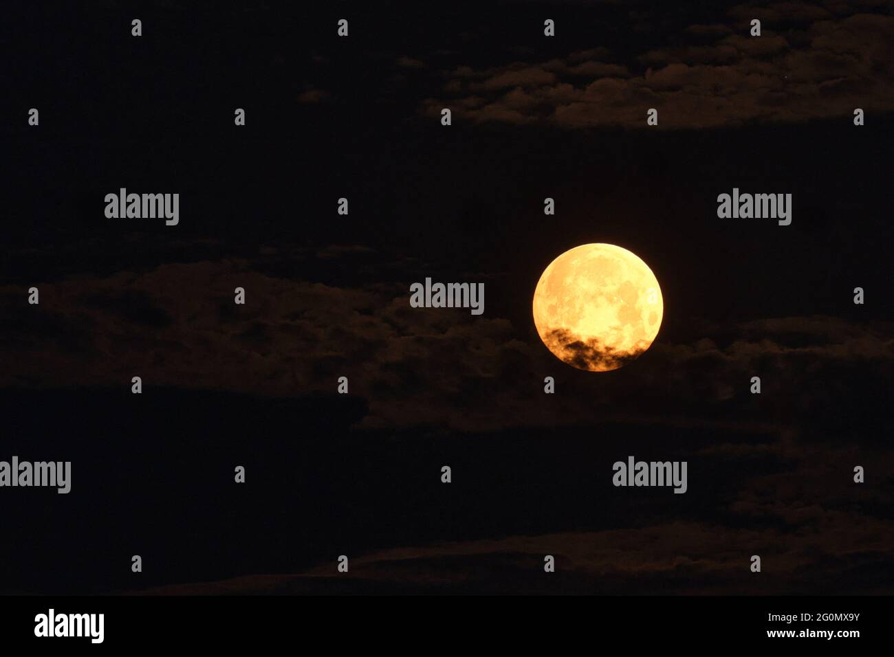 Fiore sangue super giallo luna con nuvole al mattino Foto Stock