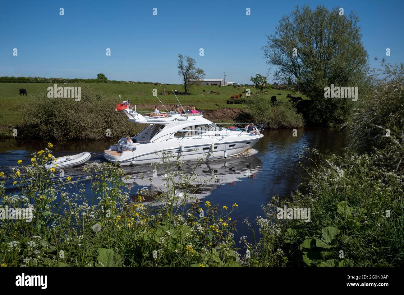 Crociera sul fiume Ouse vicino a Overton, North Yorkshire, Regno Unito Foto Stock