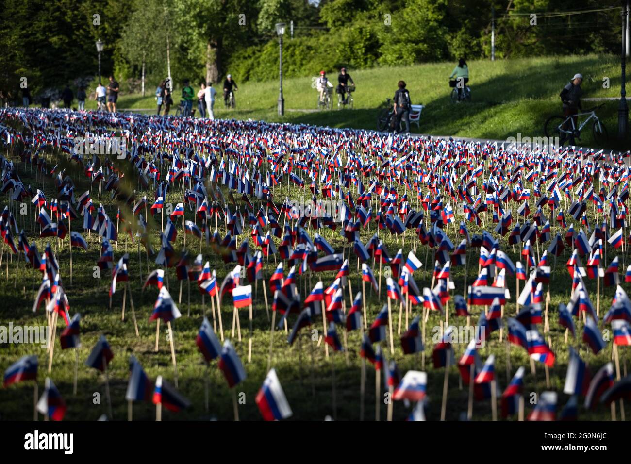 Quattromila duecentosessantacinque bandiere slovene si sono accese durante la notte nel parco di Tivoli di Lubiana martedì, simboleggiando le 4265 persone che sono morte di COVID-19 da quando il governo ha dichiarato l'ultima vittoria sull'epidemia il 1° giugno 2020, esattamente un anno fa. L'esposizione è intesa come critica dell'aberraggio del governo dell'epidemia da allora. Secondo un rapporto del National Health Institute, un totale di 4695 persone è morto di COVID-19 dal 12 marzo 2020, quando l'epidemia è stata dichiarata per la prima volta nel paese. Non è noto chi ha installato i flag ov Foto Stock