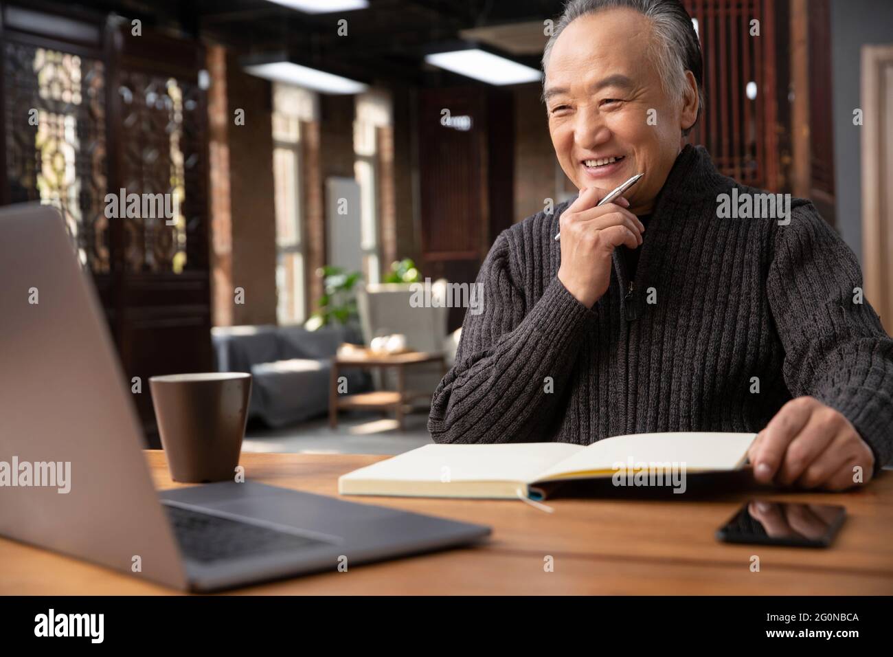 Gli anziani a usare un computer a casa Foto Stock