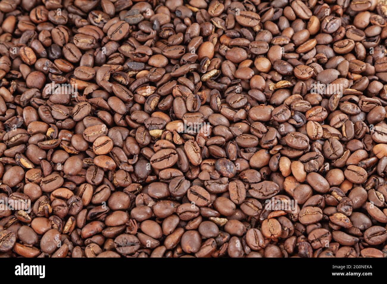 Mosaico composto da molti chicchi di caffè, che appaiono chiari nel colore perché l'ambiente è molto luminoso. Serve come texture o sfondo. Foto Stock
