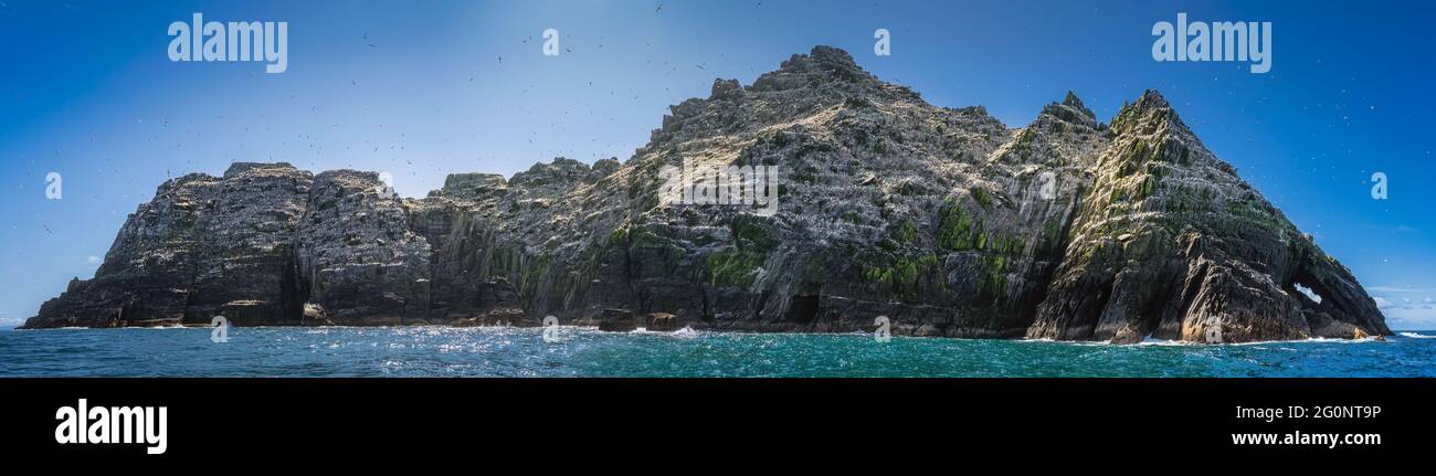 Grande panorama con tutta l'isola di Skellig un habitat naturale per uccelli marini Gannet, Morus Bassanus, Ring of Kerry, Irlanda Foto Stock