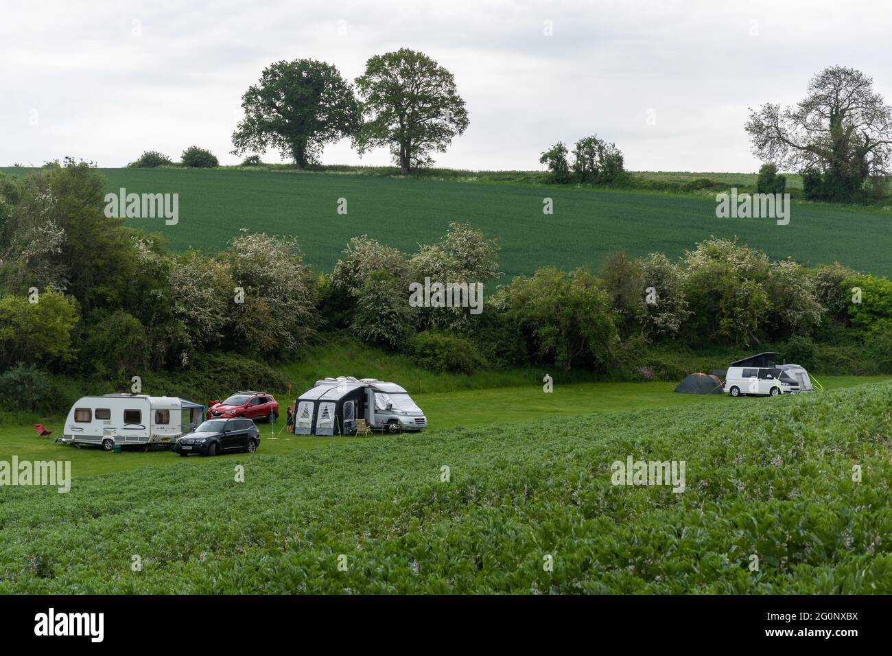 Camping su terreni agricoli nel Meon Vally nel South Downs National Park, Hampshire, Regno Unito, durante l'estate. Staycation Foto Stock