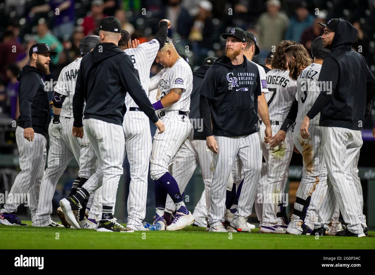 I giocatori di Colorado Rockies festeggiano una vittoria a piedi durante una partita di stagione regolare di MLB contro i Texas Rangers, martedì 1 giugno 2021, a Denver. (Bran Foto Stock