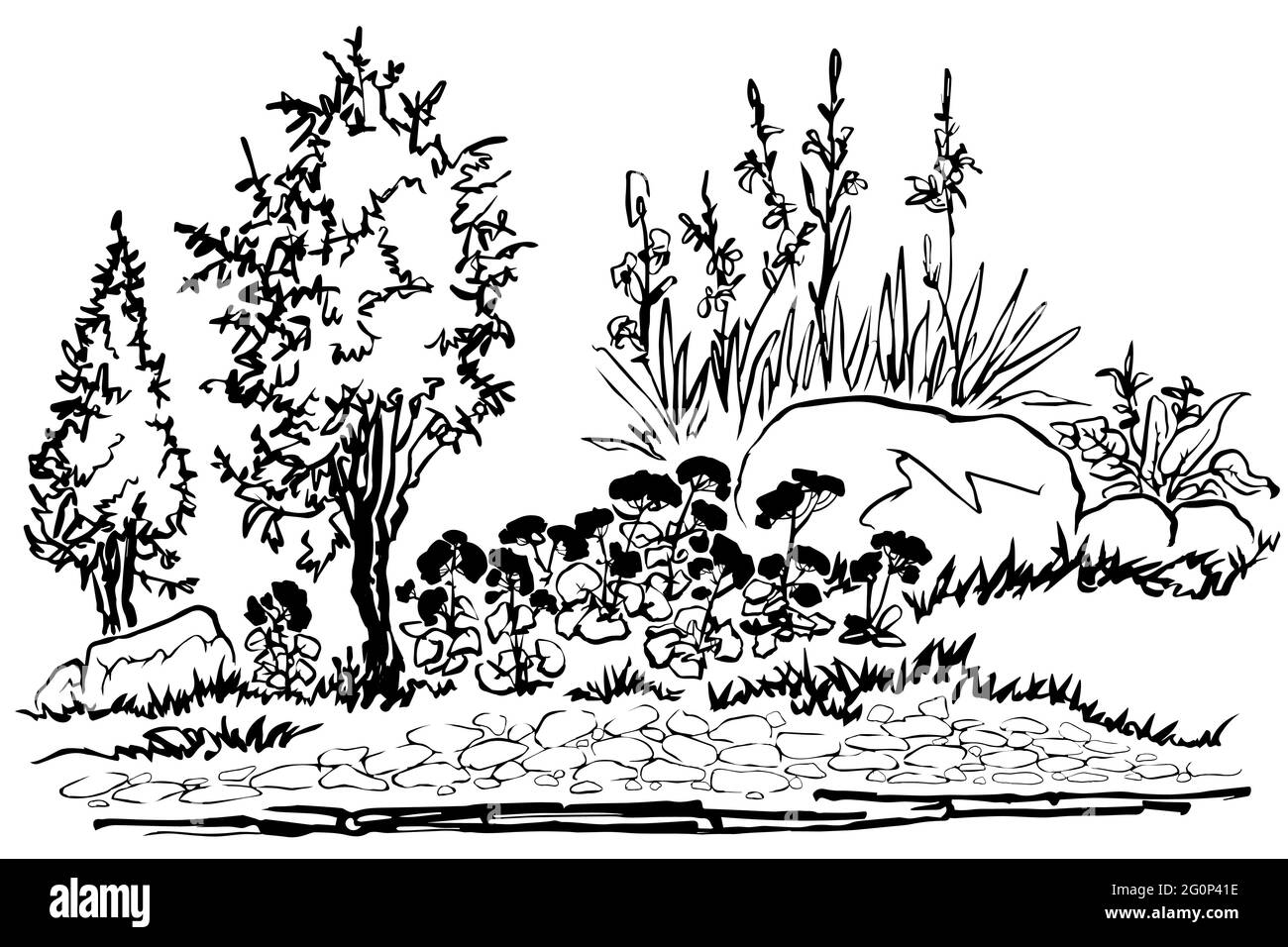 Un letto di fiori con pietre, conifere, gerani e molto altro. Disegno lineare in bianco e nero. Illustrazione Vettoriale