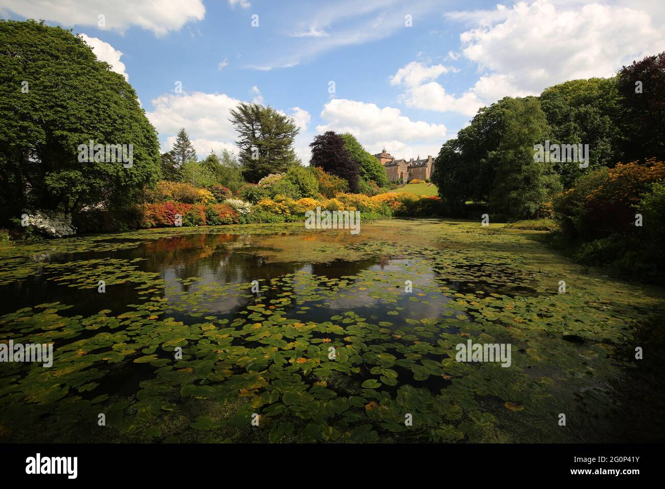 Glenapp Castle, Ballantrae, Girvan KA26 0NZ, Scozia, Regno Unito. Hotel 5 Stelle Luxury Castle Ayrshire, Scozia Sud Ovest. Lo stagno di Azalea Foto Stock