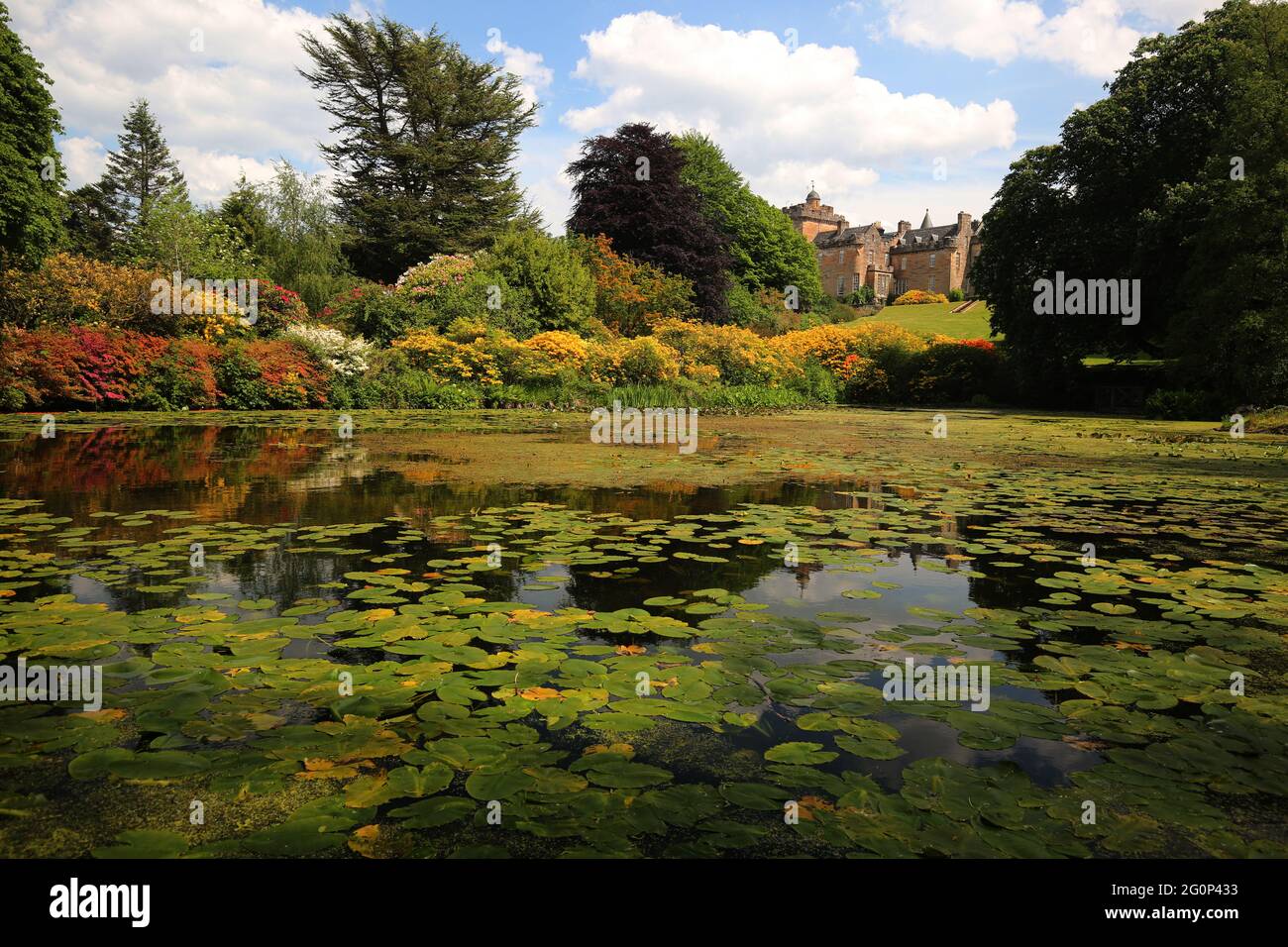 Glenapp Castle, Ballantrae, Girvan KA26 0NZ, Scozia, Regno Unito. Hotel 5 Stelle Luxury Castle Ayrshire, Scozia Sud Ovest. Lo stagno di Azalea Foto Stock