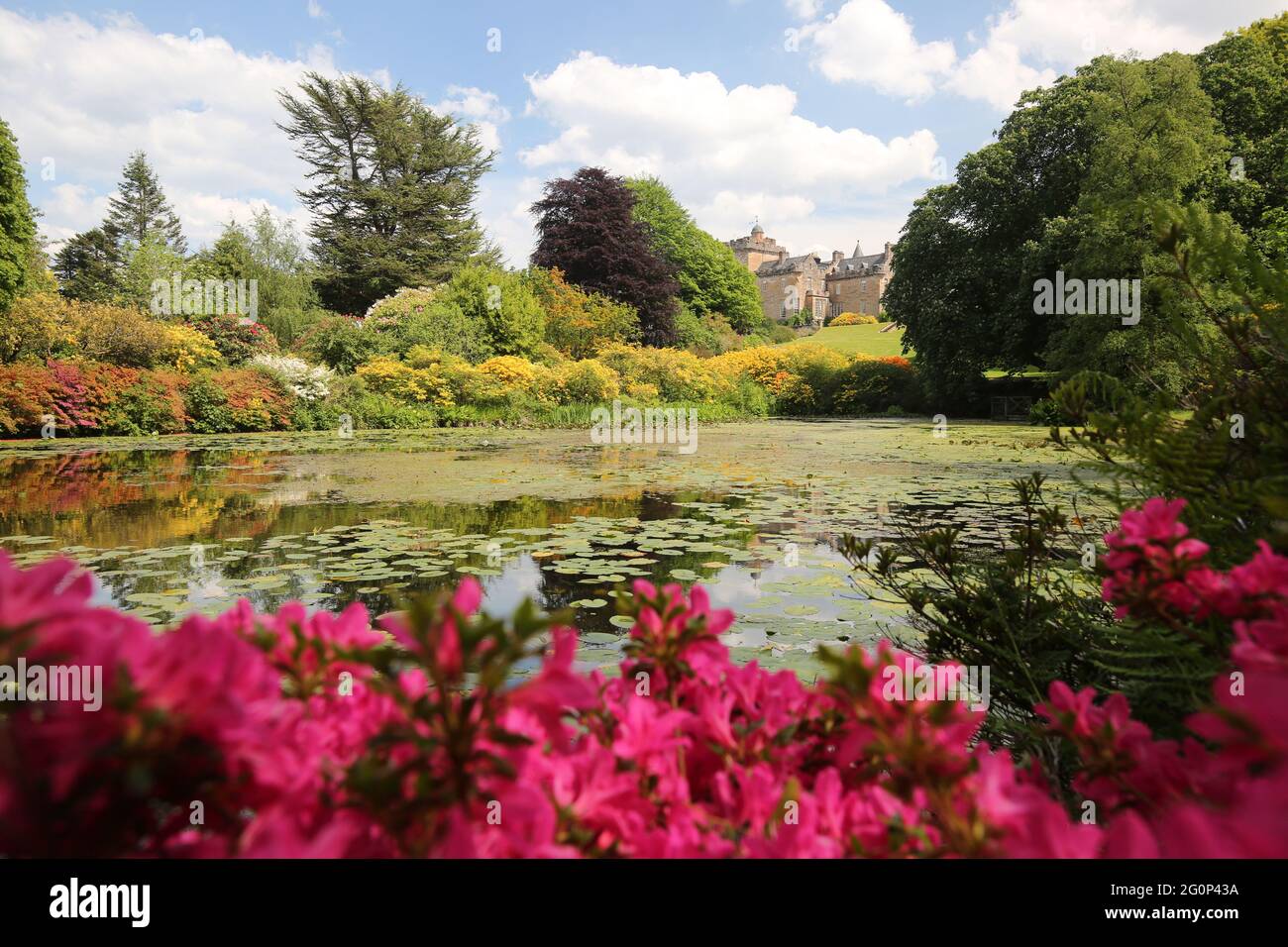 Glenapp Castle, Ballantrae, Girvan KA26 0NZ, Scozia, Regno Unito. Hotel 5 Stelle Luxury Castle Ayrshire, Scozia Sud Ovest. Lo stagno di Azalea Foto Stock