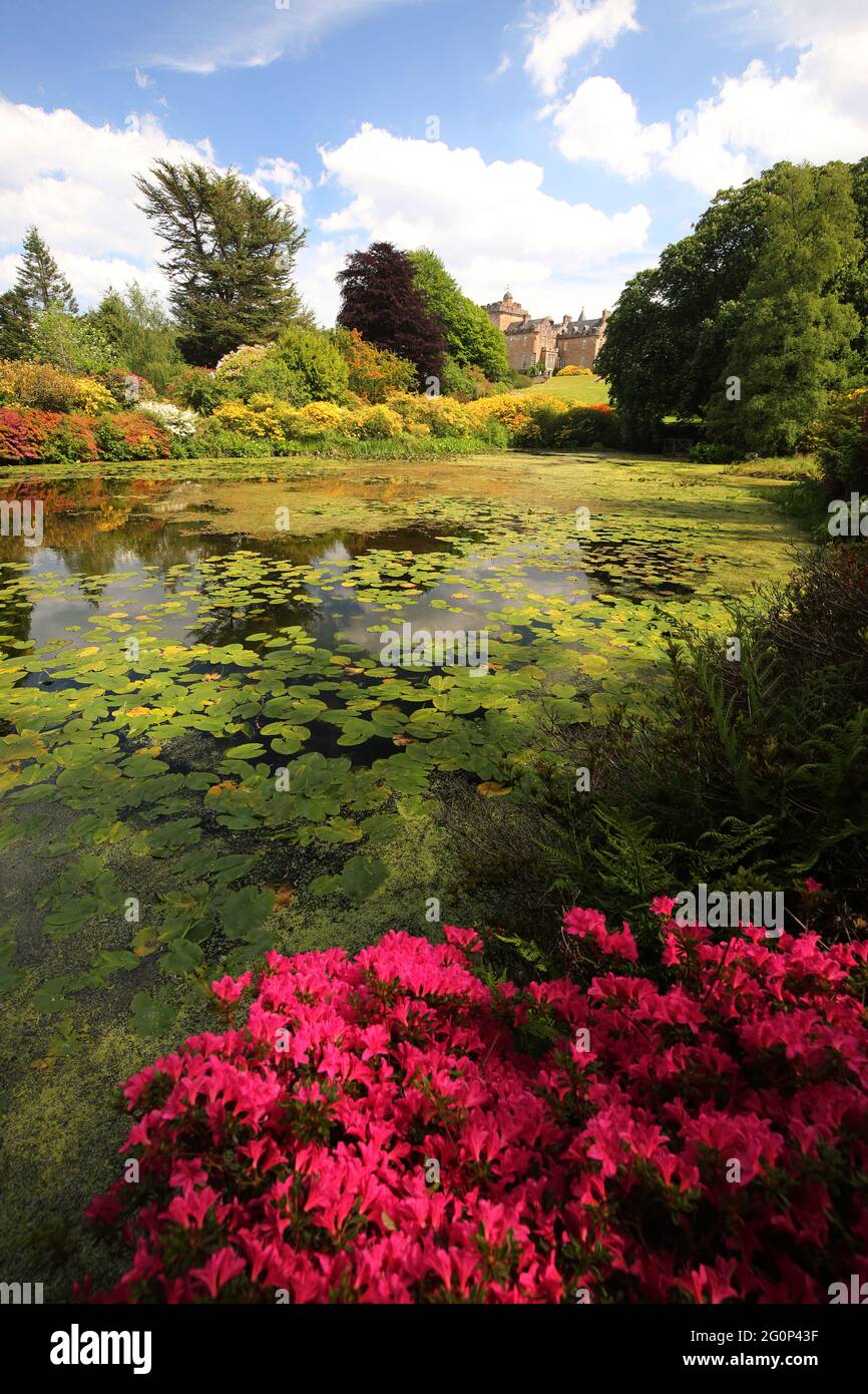 Glenapp Castle, Ballantrae, Girvan KA26 0NZ, Scozia, Regno Unito. Hotel 5 Stelle Luxury Castle Ayrshire, Scozia Sud Ovest. Lo stagno di Azalea Foto Stock