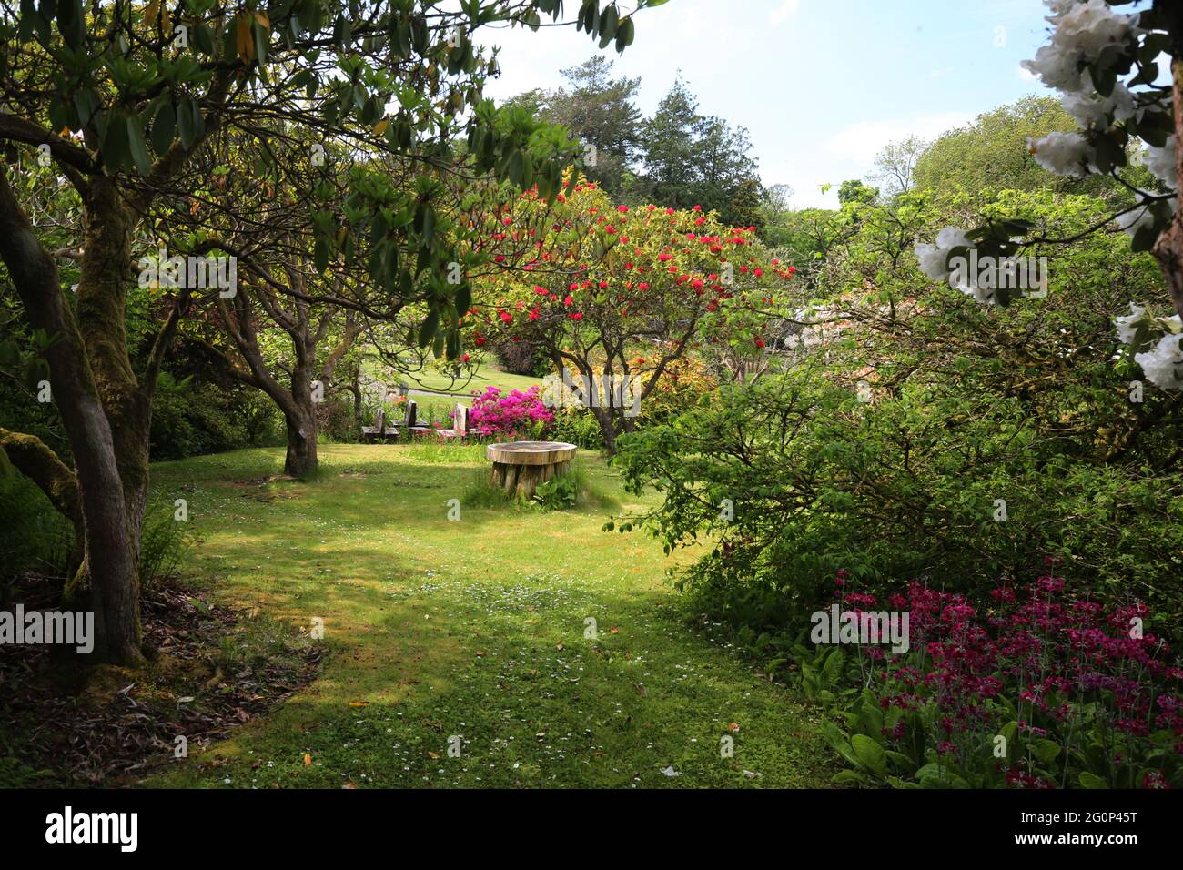 Glenapp Castle, Ballantrae, Girvan KA26 0NZ, Scozia, Regno Unito. Hotel 5 Stelle Luxury Castle, Ayrshire nel Sud-Ovest della Scozia. Il giardino murato Foto Stock