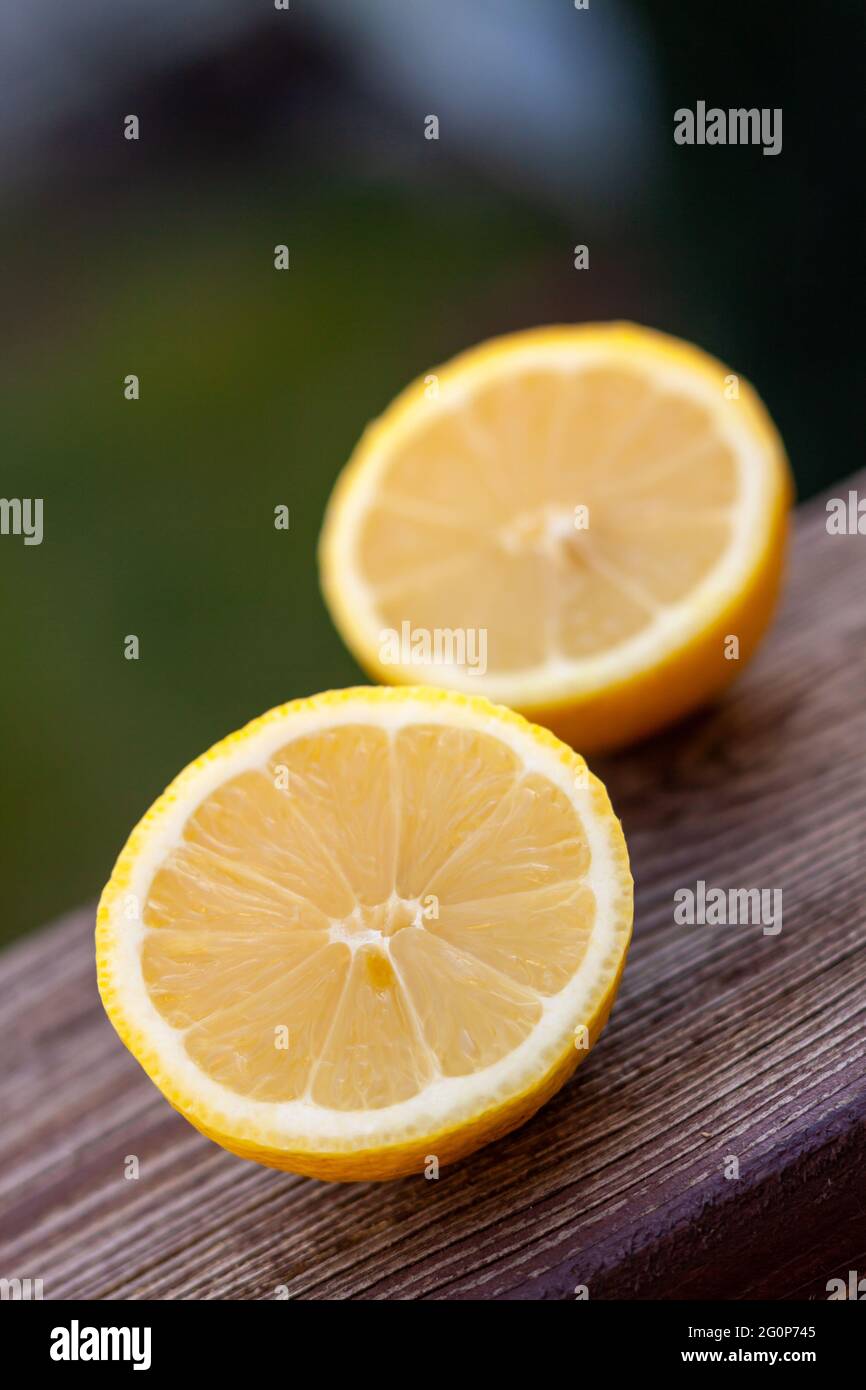 Primo piano verticale di due metà di un limone fresco Foto Stock